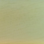 BABY MAIZE organza sash 8 inches x 108 inches - 6/pk