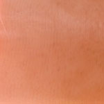 PEACH organza sash 8 inches x 108 inches - 6/pk