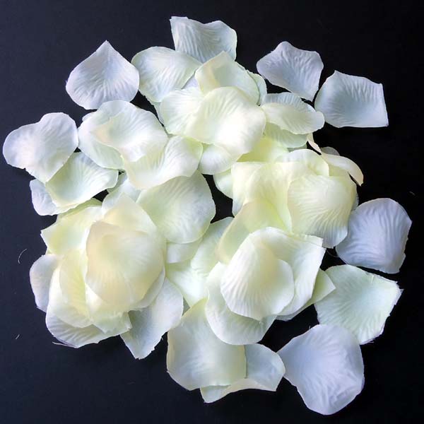 IVORY rose petal - 100/pk