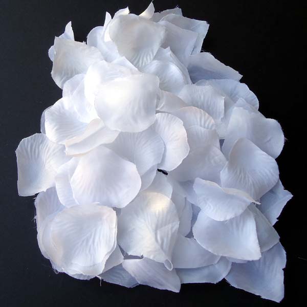 WHITE rose petal - 100/pk