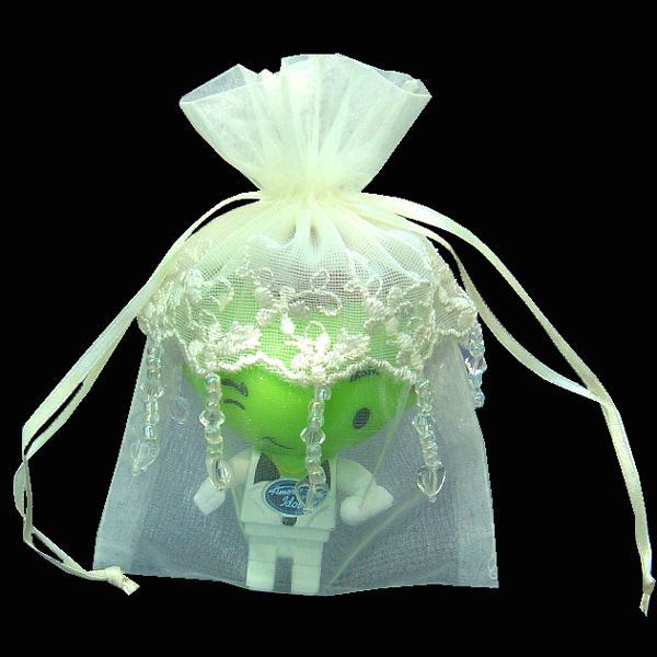 4" X 6" EMBROIDERED LACE BEADED ORGANZA WEDDING FAVOR BAG-24/PK, IVORY